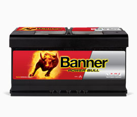 Power Bull 95 AH ALÇAK