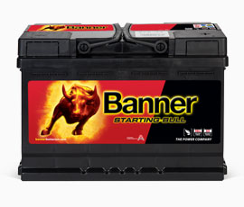 Starting Bull 72 AH TK.