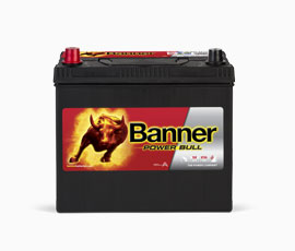 Power Bull 45 AH TERS